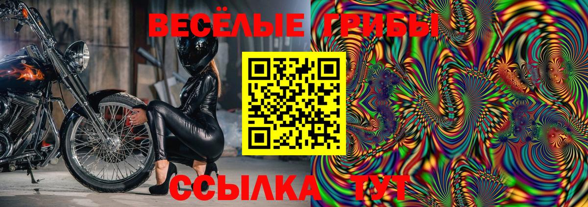 Галлюциногенные грибы Magic Shrooms  Вход с VPN  Губаха  Галлюциногенные грибы MAGIC MUSHROOMS 